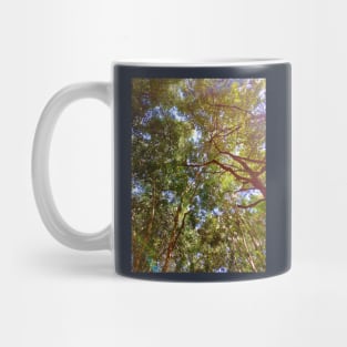 trees in the forest Mug